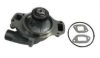 SCANI 320592 Water Pump